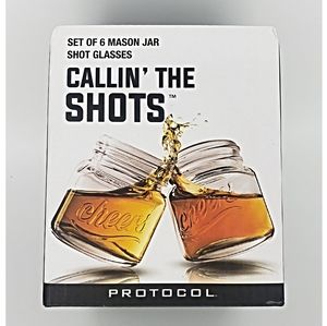 Protocol Set of 6 Mason Jar Shot Glasses